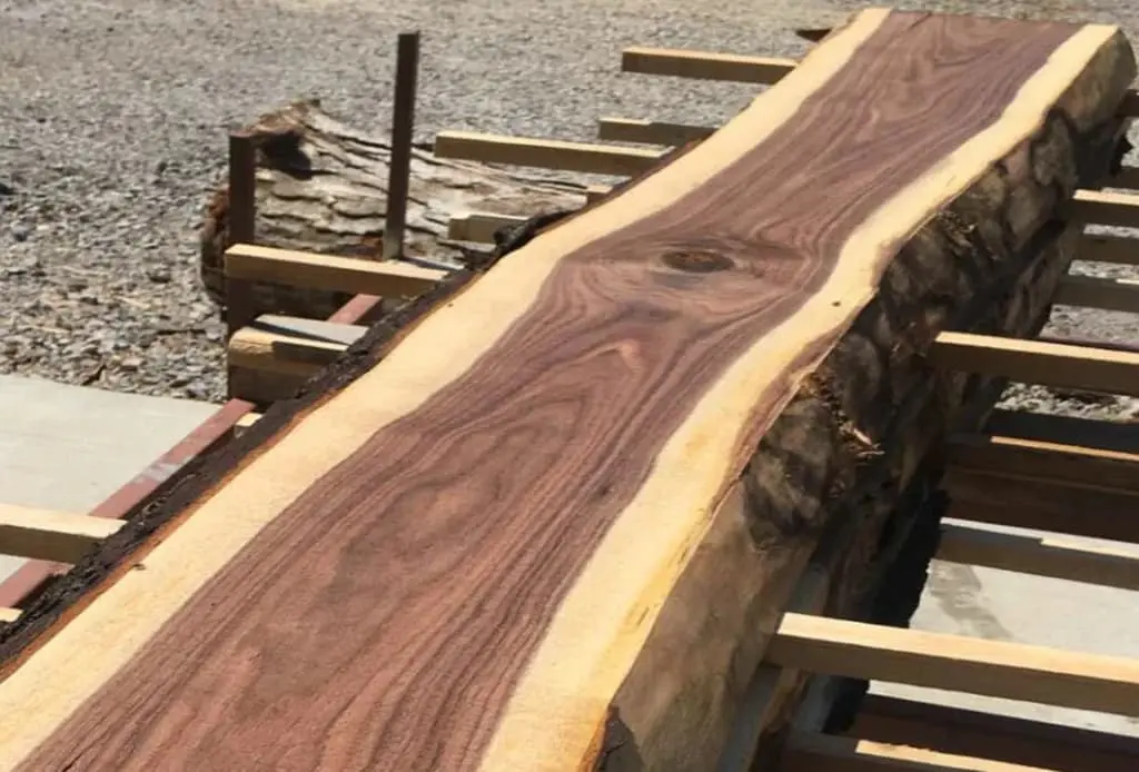 black walnut board feet price